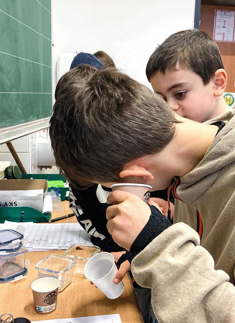 Aus dem Unterricht in der Feldsieper Schule Bochum