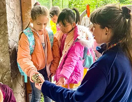 Besuch der ersten Klassen im Tierpark