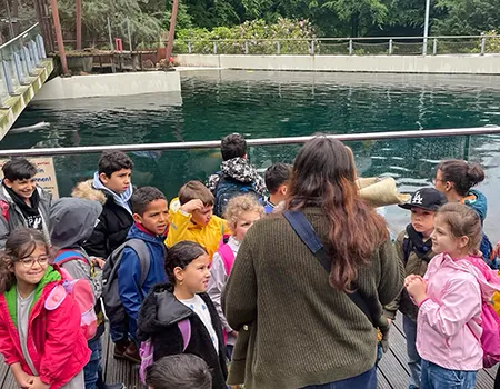 Besuch der ersten Klassen im Tierpark
