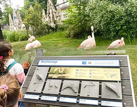 Besuch der ersten Klassen im Tierpark