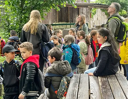 Besuch der ersten Klassen im Tierpark