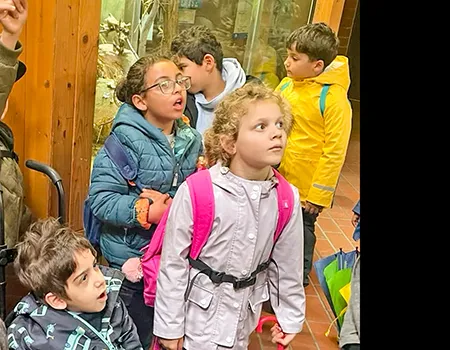 Besuch der ersten Klassen im Tierpark